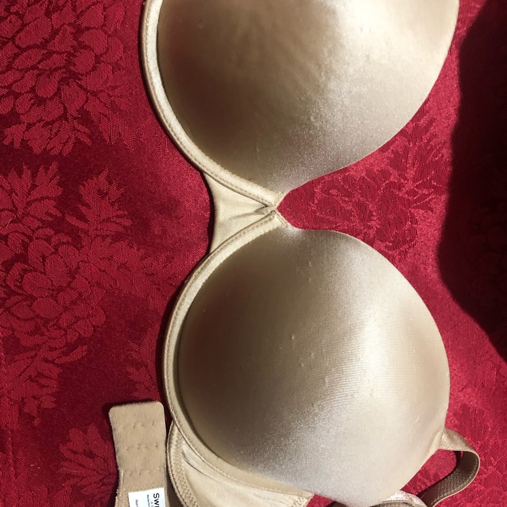 Elegant Cream Bra 38C